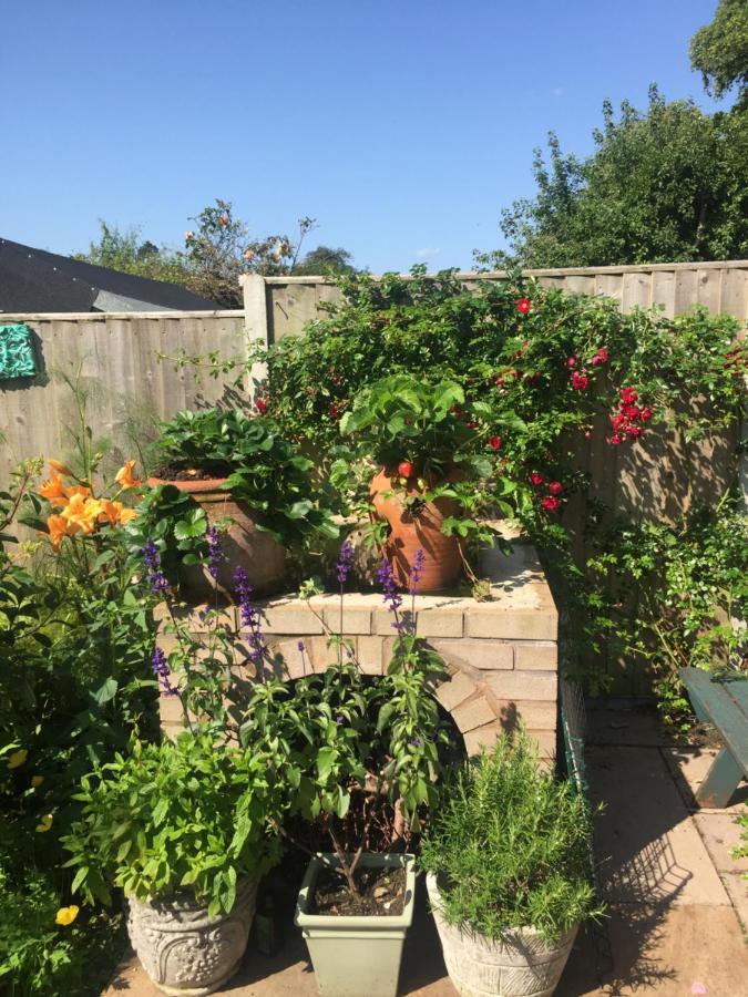 Hyacinth Bed & Breakfast Somerset  Exterior foto